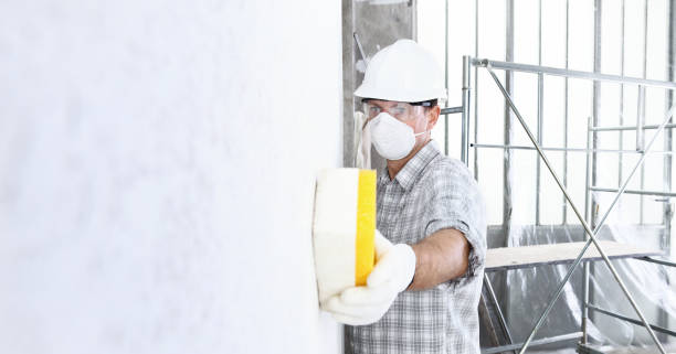 Asbestos and Lead Testing During Mold Inspection in Marion, IN